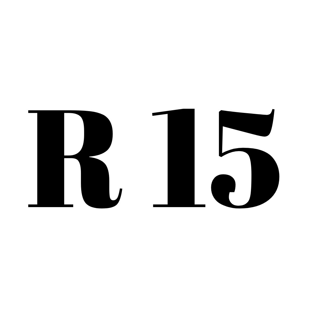 CITROEN R15