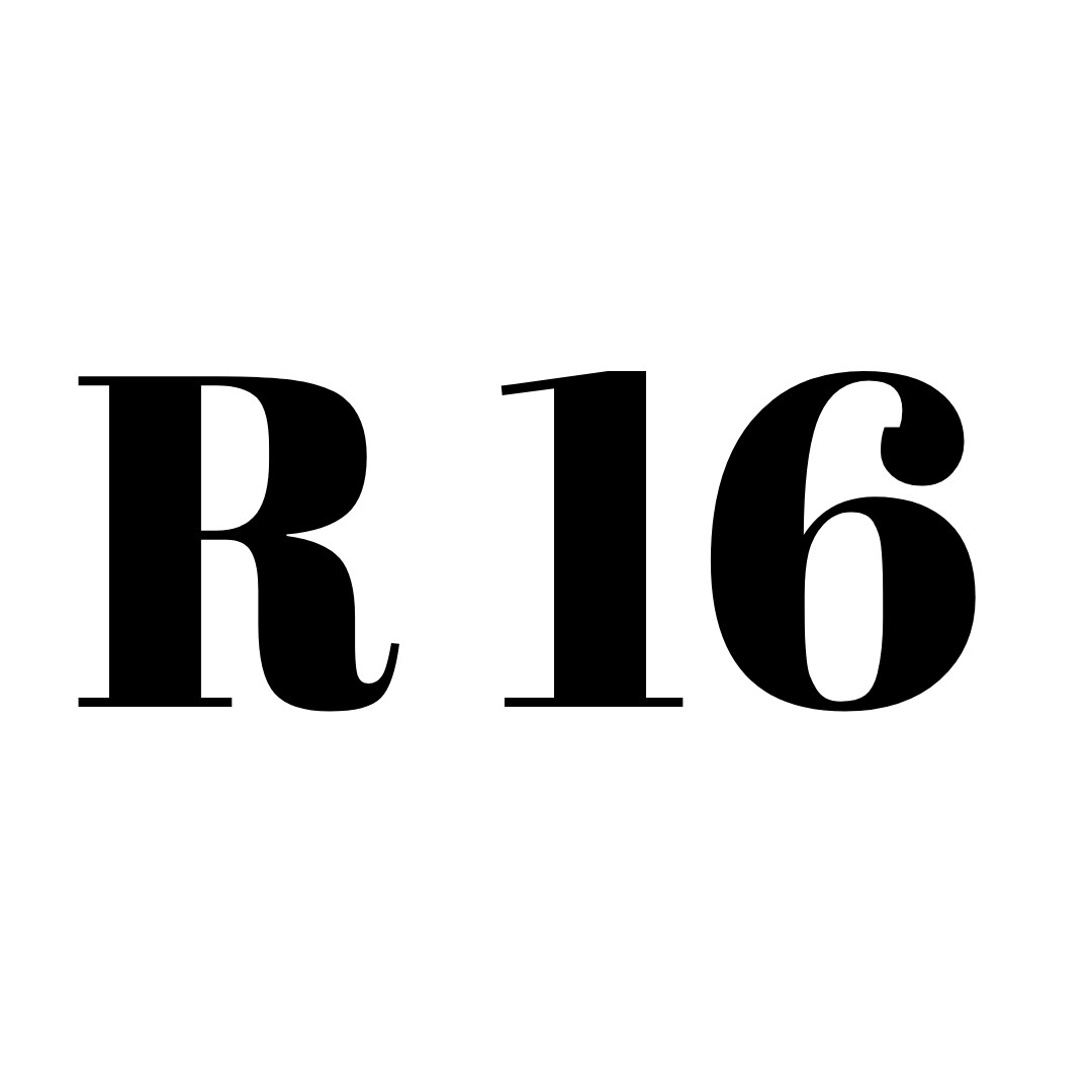 SSANGYOUNG R16