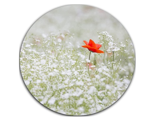 Mousepad floare de mac 20 x 20 cm