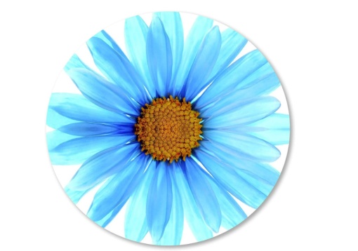 Mousepad Floare, 20 x 20 cm