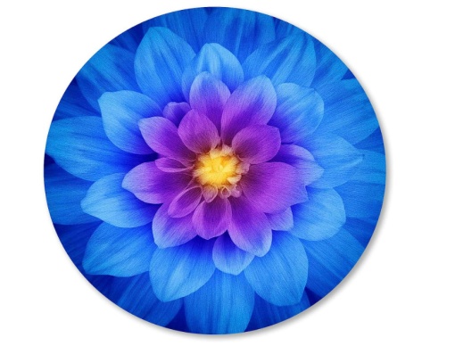 Mousepad Floare albastra, 20 x 20 cm