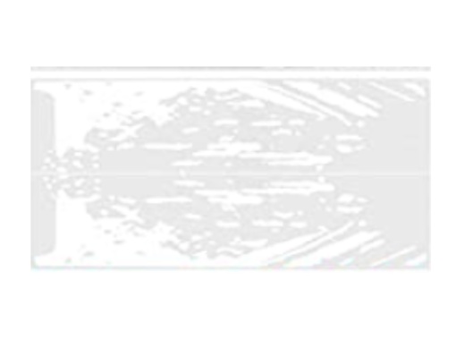 Set 2 stickere auto "Splash Kit Racing", alb