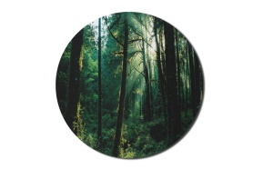 Mousepad Padure 20 x 20 cm