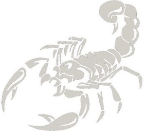 Sticker auto "Scorpion" 30x16 cm, alb
