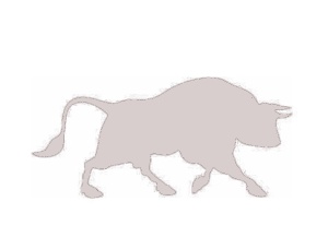 Sticker Auto "Taur" 20x10 cm, alb