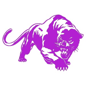 Sticker auto "Leopard" 20x13 cm, mov