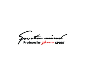 Sticker Sportmind Fiat Punto 20x5.4 cm, Creative Rey®