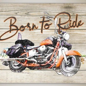 Mousepad Born To Ride 22x18 cm - Img 2