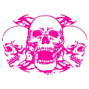 Sticker auto "cranii" 60x39 cm, roz