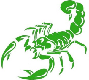 Sticker auto "Scorpion" 30x16 cm, verde