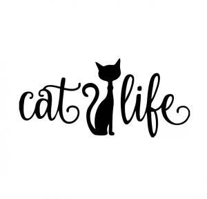 Sticker Cat Like 15 cm, Creative Rey®