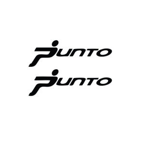 Sticker FIAT PUNTO SET 2 BUCATI 15x4.7 cm, Creative Rey®