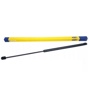Amortizor Capota Magneti Marelli Mercedes-Benz CLK C209 2002-2010 430719056800