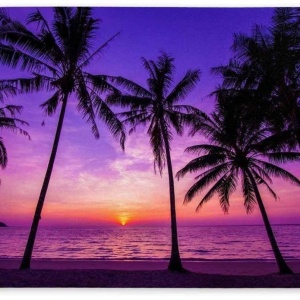 Mousepad Peisaj exotic 22 x 18 cm - Img 2