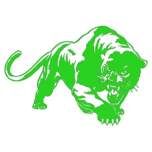 Sticker auto "Leopard" 20x13 cm, verde