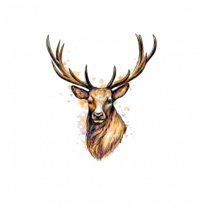 Sticker Cerb 15 cm, Creative Rey®