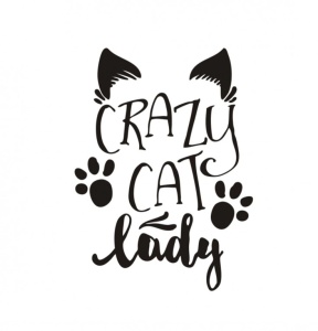 Sticker Crazy Cat 15cm, Creative Rey®