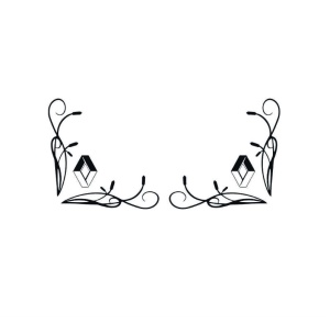Sticker SET GEAMURI LATERALE RENAULT 30x30 cm, Creative Rey®