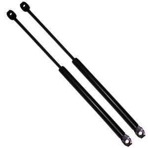 Set amortizor capacul fata AERZETIX, OEM: 51231960852, pentru BMW Seria 3 E36, 2 bucati