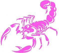 Sticker auto "Scorpion" 30x16 cm, roz