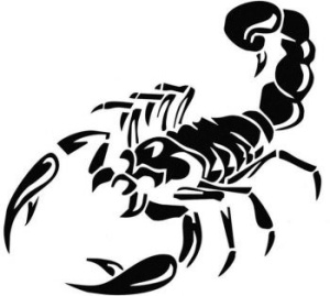 Sticker auto "Scorpion" 30x30 cm, negru