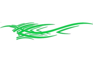Sticker auto "Racing Sports" 94.4 cm, verde