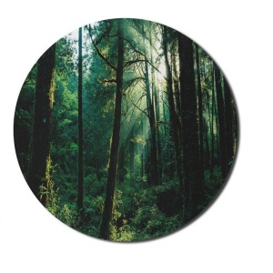 Mousepad Padure 20 x 20 cm - Img 2