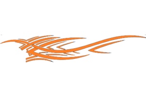 Sticker auto "Racing Sports" 94.4 cm, portocaliu