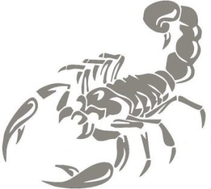 Sticker auto "Scorpion" 30x16 cm, gri