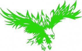 Sticker auto "vultur zburator" 80x50 cm, verde
