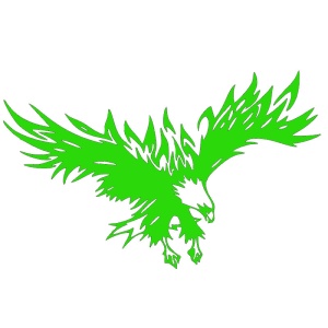 Sticker auto "vultur zburator" 80x50 cm, verde