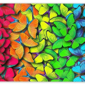 Mousepad Fluturi 22x18 cm - Img 2
