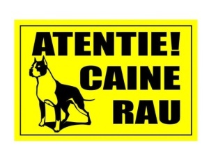Indicator avertizare "Atentie Caine rau", 20x30cm - Img 2