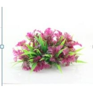Planta decorativa pentru acvariu Nesaea Enjoy, 10 cm