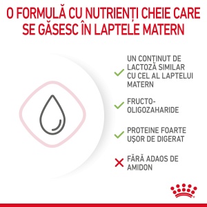 Royal Canin BabyCat Milk ,inlocuitor lapte matern pisica, 300G - Img 7