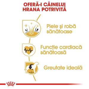 Royal Canin Golden Retriever Adult, hrana uscata caine, 3KG - Img 5