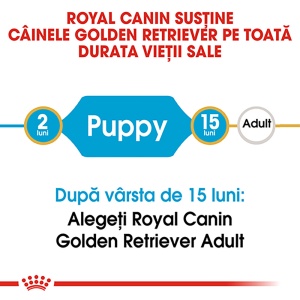 Royal Canin Golden Retriever Puppy, hrana uscata caine junior, 1KG - Img 6