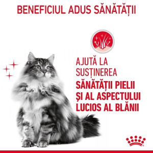 Royal Canin Hair&Skin Care Adult, hrana umeda pisica, piele si blana (in sos), 12 x 85G - Img 4