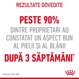Royal Canin Hair&Skin Care Adult, hrana uscata pisica, piele si blana, 4KG - Img 10