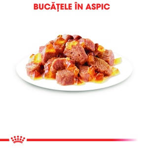 Royal Canin Instinctive Adult, hrana umeda pisica (aspic), 12 x 85g - Img 4