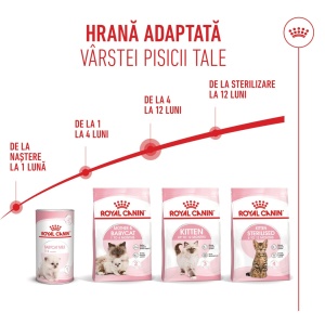 Royal Canin Kitten, hrana uscata pisica junior, 1.2KG - Img 6