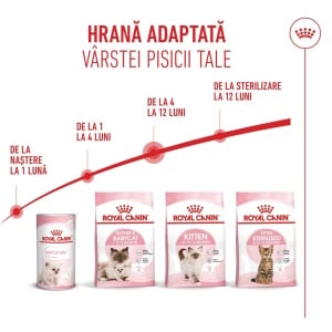 Royal Canin Kitten, hrana uscata pisica junior, 2KG - Img 6