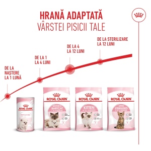 Royal Canin Kitten, hrana uscata pisica junior, 400G - Img 6
