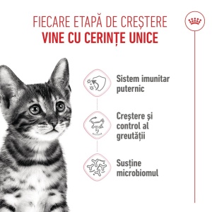 Royal Canin Kitten Sterilised, hrana uscata pisica sterilizata junior, 2KG - Img 9