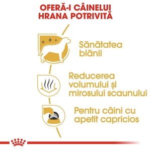 Royal Canin Maltese Adult, hrana uscata caine, 1.5KG - Img 5