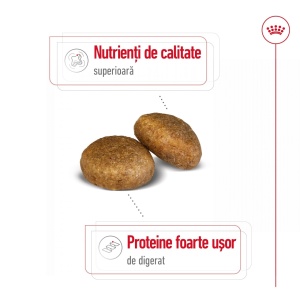Royal Canin Maxi Adult, hrana uscata caine, 15KG - Img 5