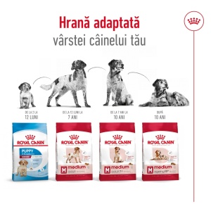 Royal Canin Medium Adult 7+, hrana uscata caine, 15KG - Img 10