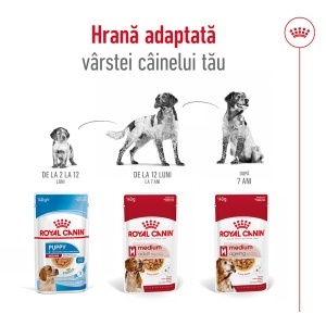 Royal Canin Medium Adult, hrana umeda caine (in sos), 10 x 140G - Img 6