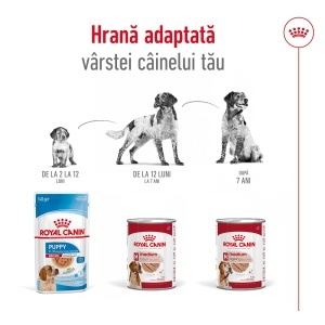 Royal Canin Medium Adult, hrana umeda caine (pate), 10 x 140G - Img 4