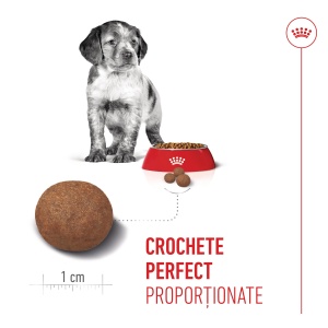 Royal Canin Medium Puppy, hrana uscata caine junior, 3KG - Img 4